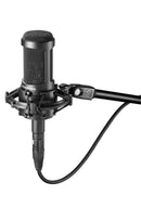 Audio-Technica AT2050 Multi-pattern Condenser Microphone