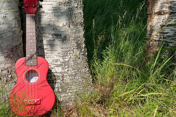 Ukulele